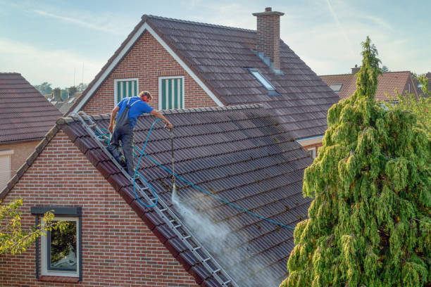 Find The Best Pressure Washing Services Near Me Today!